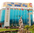 ֱ�����淭